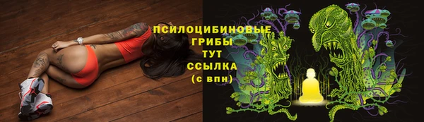 мяу мяу мука Осташков