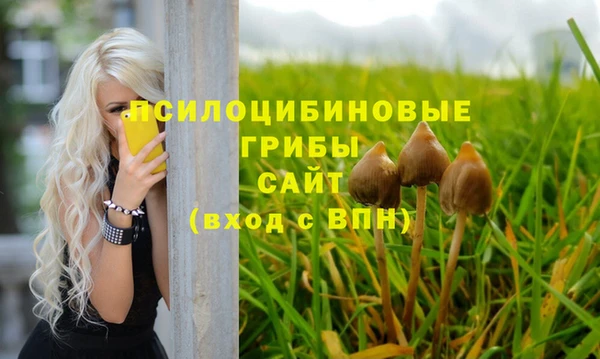 не бодяженный Алзамай