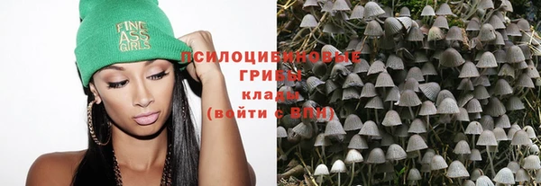 мяу мяу мука Алексин